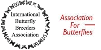 We are members of the International Butterfly Breeders Association and the Association for Butterflies.