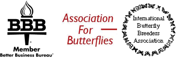 We are members of the Better Business Bureau, The Internation Butterfly Breeders Association and the Association for Butterflies.