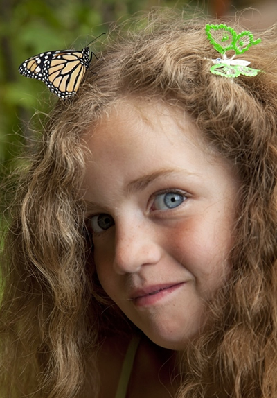 A Monarch Butterfly has landed in the hair of a young girl after a Vermont butterfly release.